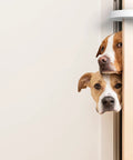 Door Pinch Guard For Kids And Pets, Soft Foam Baby Proof Door Stopper Keeps Little Fingers Safe installed on door with dogs.