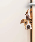 Door Pinch Guard And Door Stopper Six Pack With Soft Foam Safety Guards installed on door with dogs peeking through