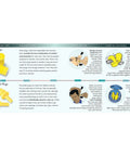 Illustration showing foam and pre-molded earplugs with steps for use and care, including Comfortable Foam Push In Earplugs With Corded Design.