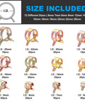 260 Piece 6 To 25mm Fuel Line Hose Spring Clip Clamps Set In 12 Sizes with 65Mn Spring Steel displayed with size options