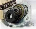 FYH Bearing SAPFL204 20mm Stamped steel oval 2-Bolt Flanged Mounted Bearing close-up view with packaging.