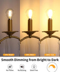 G16.5 Globe LED Candelabra Bulbs 60W Equivalent Dimmable Soft White 2700K installed in sconces demonstrating dimming levels