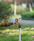 Outdoor water faucet with garden hose attached in a garden setting.