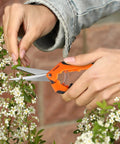 6.5 Inch Gardening Scissors Hand Pruner Pruning Shear With Straight Stainless Steel Blades Orange 1 Pack used on flowers