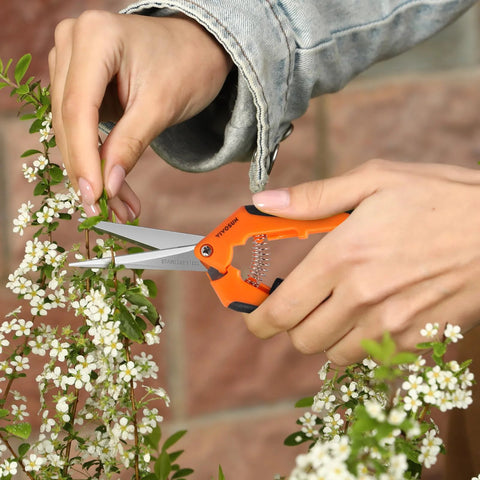 6.5 Inch Gardening Scissors Hand Pruner Pruning Shear With Straight Stainless Steel Blades Orange 1 Pack used on flowers