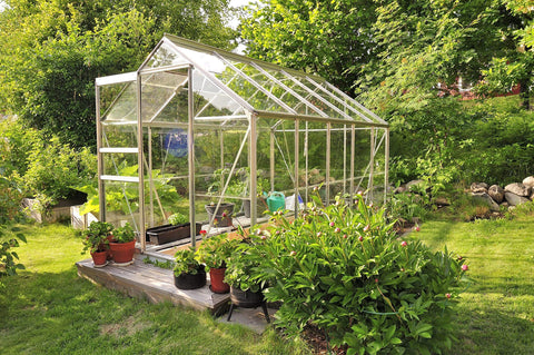 Glass greenhouse in a garden setting with plants around and inside, showcasing outdoor cultivation.
