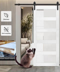 36in x 84in Glass Sliding MDF Barn Door with 6.6FT Sliding Door Hardware Kit, 5 Tempered Frosted Glass, installed in living room