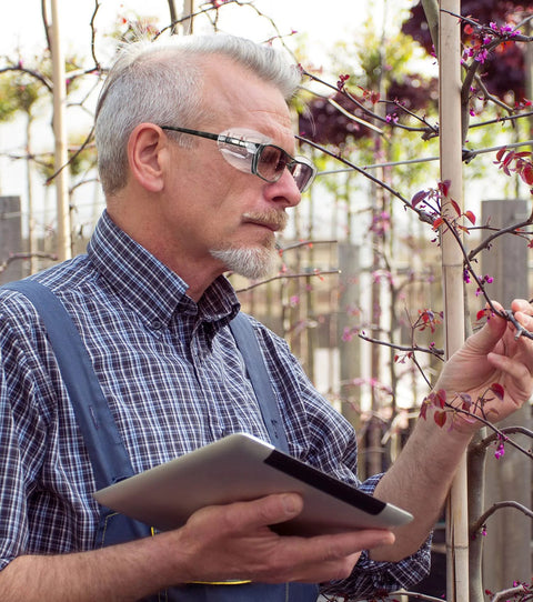 Man wearing Glasses Side Shields for Eye Protection TPU Shields for Small to Medium Eyewear examines plants outdoors