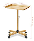 Premium Aluminum Salon Tray With Adjustable Height From 26 To 43 Inches On Wheels, Corrosion Resistant Mobile Tool Tray Gold
