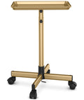 Gold Aluminum Salon Rolling Tray On Wheels With Adjustable Height For Hairstylists Ample Storage For Hair Tools Tattoo Equipment And Clinic Use Premium Trolley