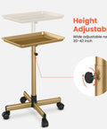 Gold Aluminum Salon Rolling Tray On Wheels With Adjustable Height For Hairstylists Ample Storage For Hair Tools Tattoo Equipment And Clinic Use Premium Trolley showing height adjustment range 30-42 in.