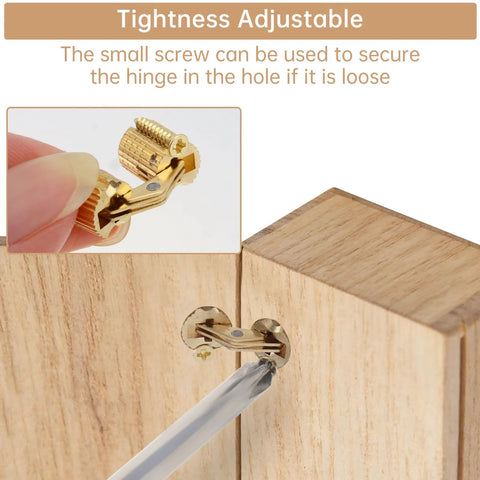 Hidden Brass Barrel Hinges Set With 8 mm Drill Bit for Wooden Boxes DIY Install Demonstration