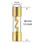 Close-up of Inline 4-8 Gauge AWG Fuse Holder with 100 Amp AGU Fuses, gold plated metal, transparent polycarbonate shell, 38mm x 10mm.