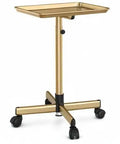 Gold Aluminum Salon Rolling Tray On Wheels With Adjustable Height For Hairstylists Ample Storage For Hair Tools Tattoo Equipment And Clinic Use Premium Trolley