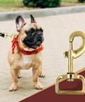 Ten Pack 1 Inch Heavy Duty Swivel Snap Hooks Eye Bolt Clips For Pet Leashes And Bags And Harnesses Gold Tone Three And A Quarter Inch Long Swivel Clasps 360 Degree Rotating Prevent Tangling Rust Resistant Iron Alloy with a dog on a leash