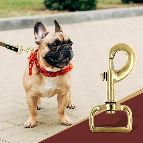 Ten Pack 1 Inch Heavy Duty Swivel Snap Hooks Eye Bolt Clips For Pet Leashes And Bags And Harnesses Gold Tone Three And A Quarter Inch Long Swivel Clasps 360 Degree Rotating Prevent Tangling Rust Resistant Iron Alloy with a dog on a leash