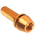 Gold VAMUOEFL Titanium Bolt M5x18mm with tapered head and washer, MTB road bicycle part, close-up view