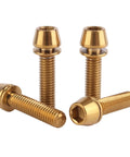 ✝️ UHDFBDHF 4Pcs Titanium Bolt M6 x 25mm Allen Hex Bolts with Washers Screw for Bicycle V Brake Hub Fixed Gold