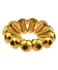12 Pcs M5x10 Titanium Torx Bolts for Bicycle Disc Brake Rotors featuring gold finish and T25 Torx heads, arranged in a circle.