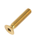Gold Wanyifa Titanium Ti M5x25mm Countersunk Flat Head Hex Socket Cap Screw Bolt shown on white background.