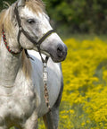 White horse wearing a quick release metal snap in a field of yellow flowers, demonstrating 10 Pack Panic Snap Quick Release Metal Snap For Paracord And Get Back Whips With One Half Inch Eye And Quick Detach Clip Zinc Alloy Horse Snaps Durable Secure Locking For Reliable Use On Motorcycle Whips.