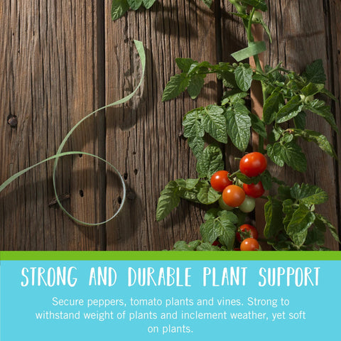 One Wrap Garden Ties For Plant Supports Reusable Adjustable Ties Cut To Length 50 Ft By One Half Inch Green Recycled Plastic