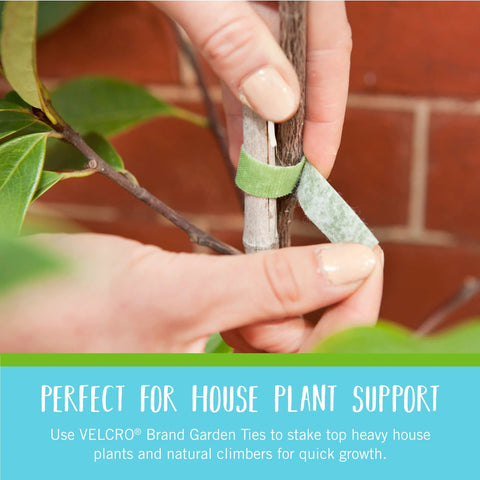 Hands securing plant with One Wrap Garden Ties For Plant Supports Reusable Adjustable Ties Cut To Length 50 Ft By One Half Inch Green Recycled Plastic Non Slip Grip Durable Secure Indoor And Outdoor Use Weather Resistant.