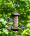 Outdoor bird feeder hanging with two birds, using a Small Carabiner Clip Set Of 10 1.57 Inch Heavy Duty Alloy Mini Carabiners for attachment.