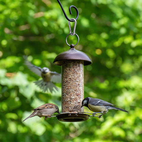 Outdoor bird feeder hanging with two birds, using a Small Carabiner Clip Set Of 10 1.57 Inch Heavy Duty Alloy Mini Carabiners for attachment.