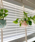 Three hanging planters with green plants in pastel pots in front of white blinds