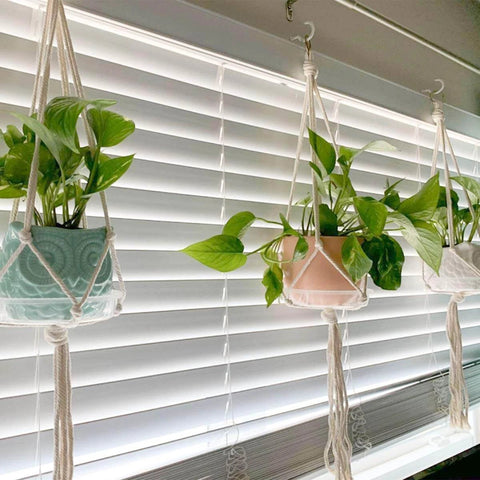 Three hanging planters with green plants in pastel pots in front of white blinds