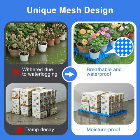 Six Pack Interlocking HDPE Plastic Pallets For Basement Storage with plants on ventilated blue pallets demonstrating drainage