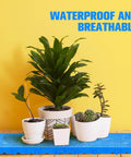 Six Pack Plastic Pallets For Basement Storage HDPE Waterproof Grid Ventilation Floor Pallets with plants on top.