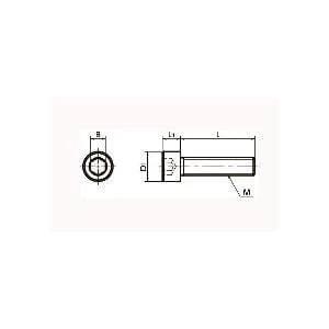 Technical drawing of ✝️ SNSS-M4-10-TF NBK Hex Socket Head Cap Screws - Teflon® Coating One Screw - Made in Japan, 1-pack.
