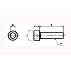 Diagram of SNSS-1/4-20-1/2 NBK Hex Socket Head Cap Screws - Inch Thread- Pack of 10 dimensions and key measurements.