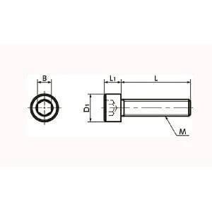 Technical drawing of ✝️ SNSS-M10-25-TF NBK Hex Socket Head Cap Screws - Teflon® Coating One Screw - Made in Japan