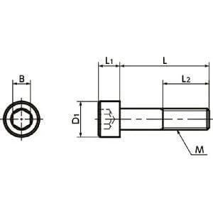 Technical diagram of ✝️ SNSTG-M10-25 NBK Hex Socket Head Cap Screws - High Intensity Titanium Alloy- Made in Japan for smooth motion in systems