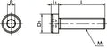 Technical diagram of ✝️ SPS-M6-12-LC NBK Plastic screw - Hex Socket Low Head Bolt - PPS Pack of 5 Screws - Made in Japan.