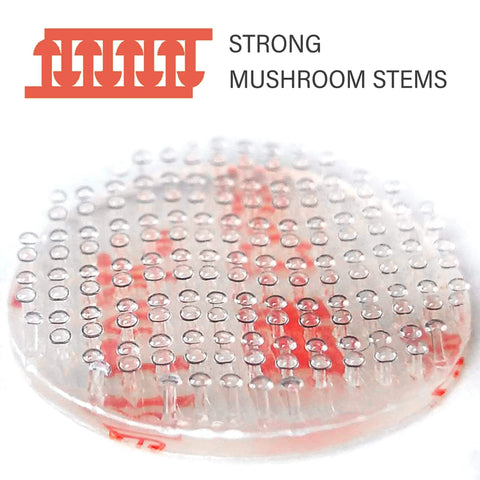 Close-up of Heavy Duty Double Sided Hook And Loop Tape Pack with Clear Reclosable Fasteners, 0.75 Inch Circle Disc