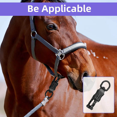 Horse wearing lead with set of five nickel plated 360 degree rotating quick release clips for outdoor gear heavy duty metal snaps