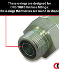 Close-up of ORFS flat face fitting with O-ring for hydraulic use, part of O Ring Seal Kit For Hydraulic ORS ORFS Flat Face Fittings BN90