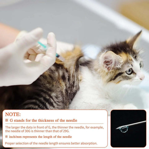 Using Insulin Syringe 1 Milliliter 31G 5 Sixteenth Inch on a kitten for precise dosing, with needle thickness and length explanation