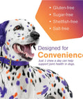 Dalmatian with purple and orange spots, highlighting gluten-free, sugar-free, shellfish-free, and salt-free MoVoFlex Joint Support Soft Chews.