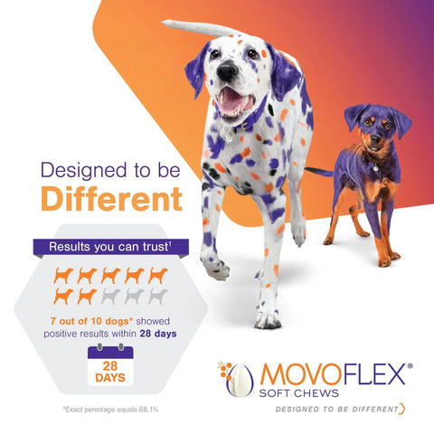 Joint Support Soft Chews For Large Dogs 80 Lb And Up 120 Count MoVoFlex Daily Dose promotional image with two large dogs