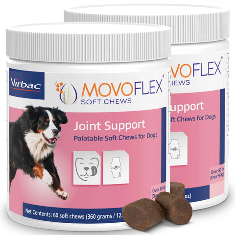 Two containers of Joint Support Soft Chews For Large Dogs 80 Lb And Up 120 Count MoVoFlex with soft chews shown in front.