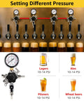 Image of a Two Stage CO2 Regulator for Kegs with Split Pressure Control and 0 to 60 PSI Output, showing pressure gauges and beer types.