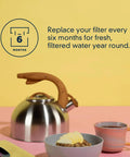 Ice And Water Refrigerator Filter 4 EDR4RXD1 Single Pack promotional image with teapot, granola bowl, and reminder to replace filter every 6 months.