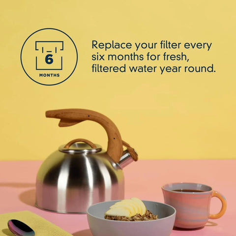 Ice And Water Refrigerator Filter 4 EDR4RXD1 Single Pack promotional image with teapot, granola bowl, and reminder to replace filter every 6 months.