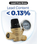Adjustable RV water pressure regulator with gauge, lead-free brass, 3/4 inch NH thread, protects hoses and fittings, 45-160 PSI.