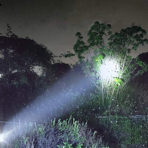 Solar Rechargeable Multi Function 1000 Lumens LED Flashlight With Emergency Strobe Light illuminating a tree at night outdoors
